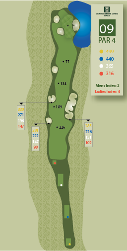 Hole1ZoomOutImage